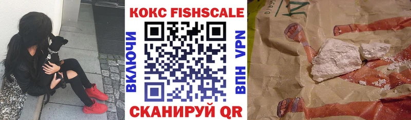 Cocaine FishScale  Дзержинск 