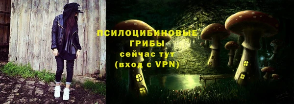 a pvp Богородицк